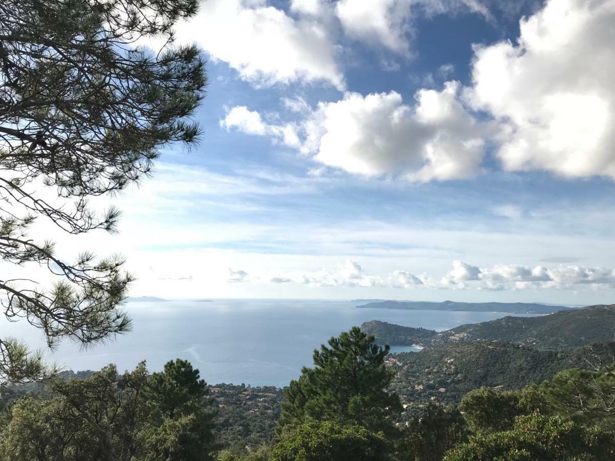 T2 Moderne Avec Jardin Apartment Rayol-Canadel-sur-Mer Bagian luar foto